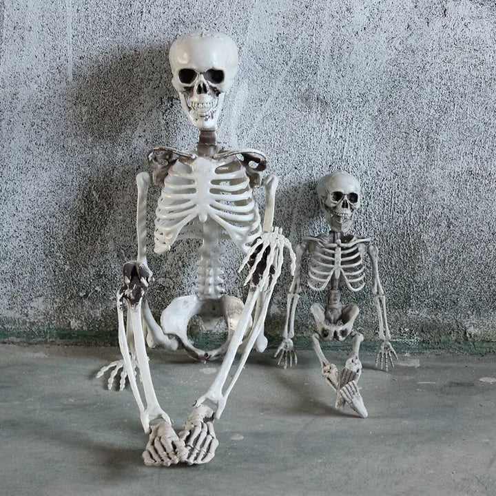 Realistic Skeleton Model
