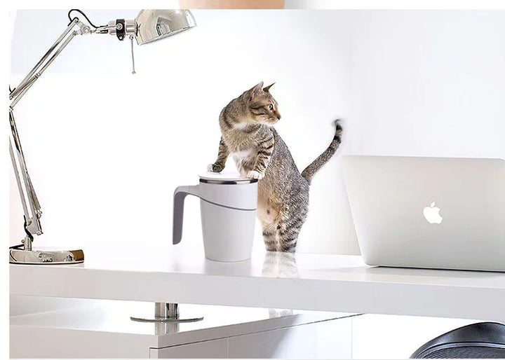 Creative Stainless Steel Tumbler with Lid and Suction Base