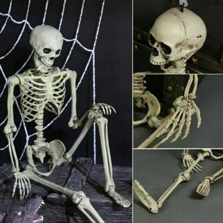 Realistic Skeleton Model